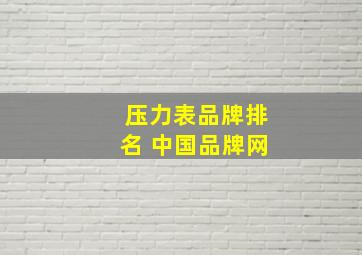 压力表品牌排名 中国品牌网